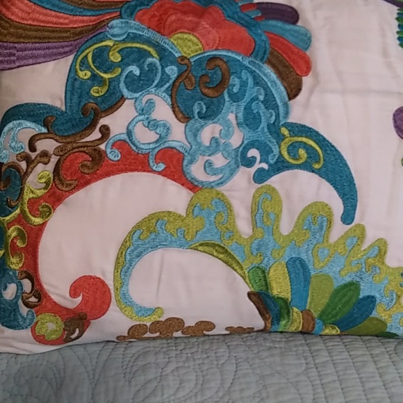 Bed, Bath and Beyond feather and down embroidered throw pillow, VGUC - Picture 4 of 6